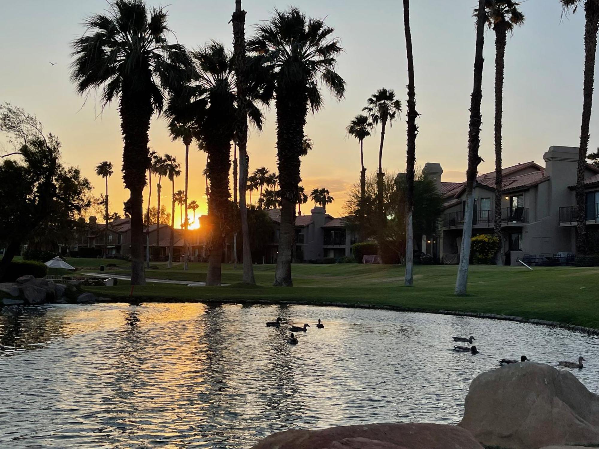 The View! Palm Desert Country Club Villa Exterior foto
