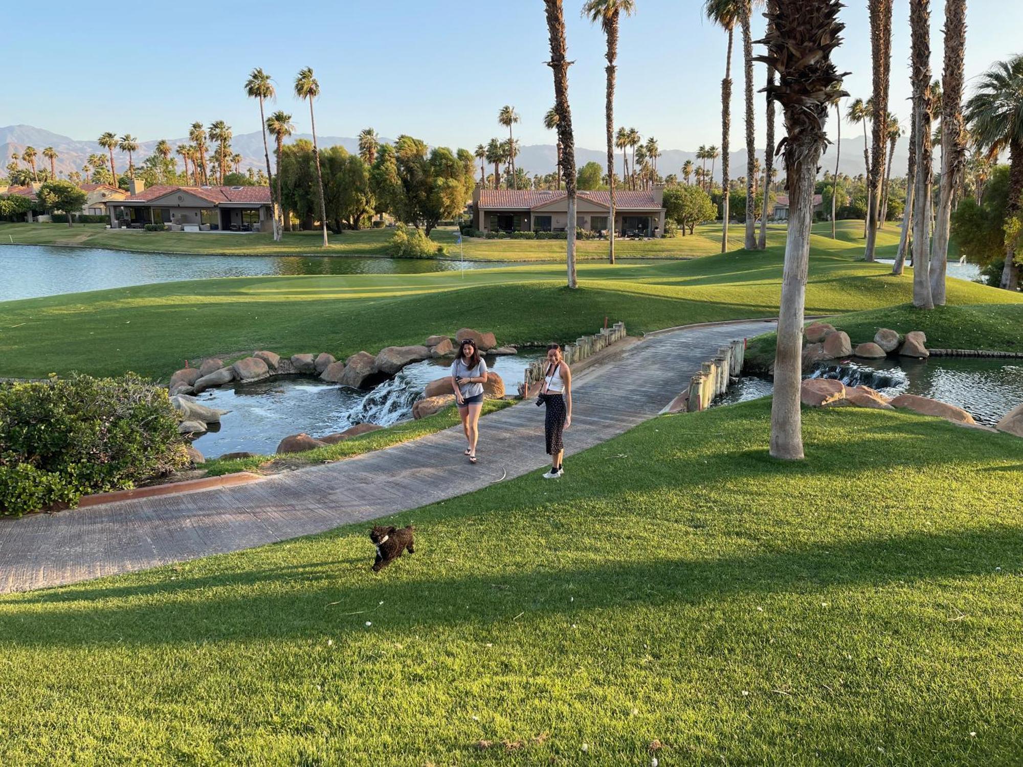 The View! Palm Desert Country Club Villa Exterior foto